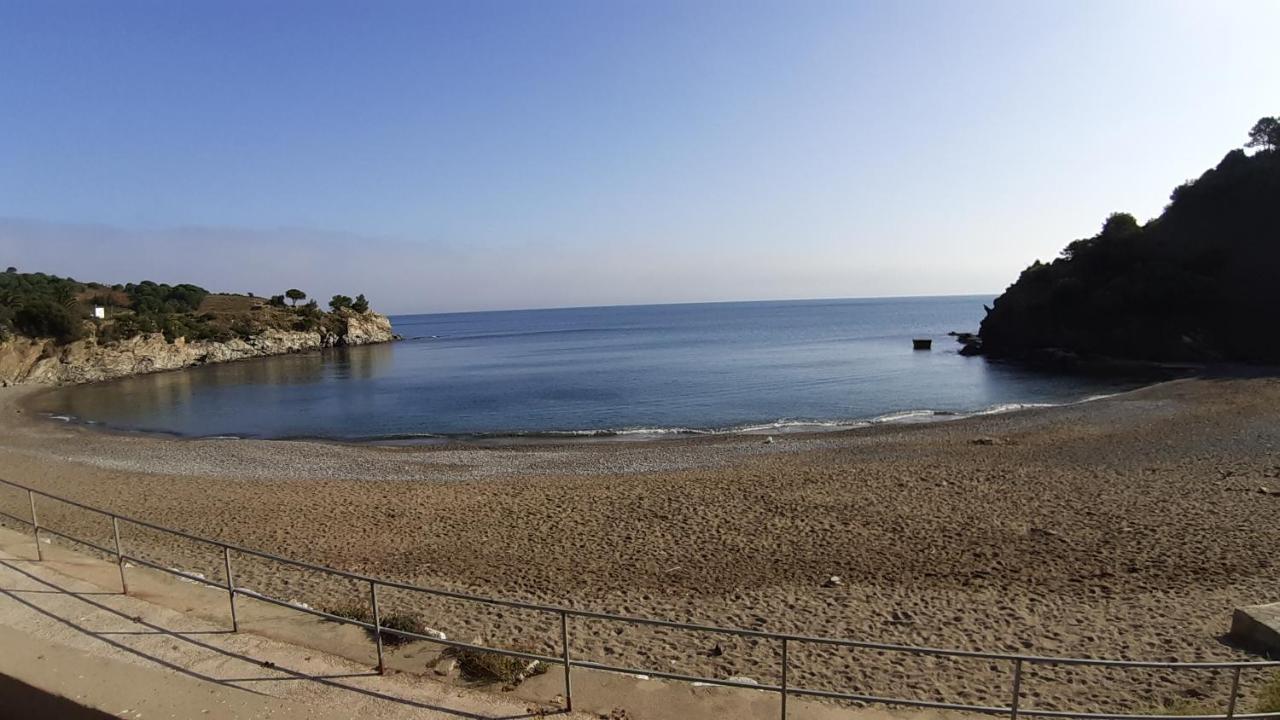 Cap D Osne - Banyuls Sur Mer - 2Mn Plage Dış mekan fotoğraf
