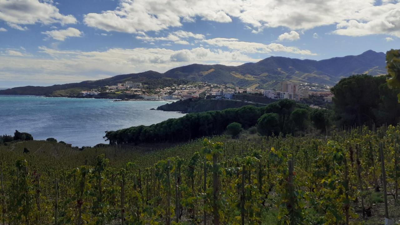 Cap D Osne - Banyuls Sur Mer - 2Mn Plage Dış mekan fotoğraf