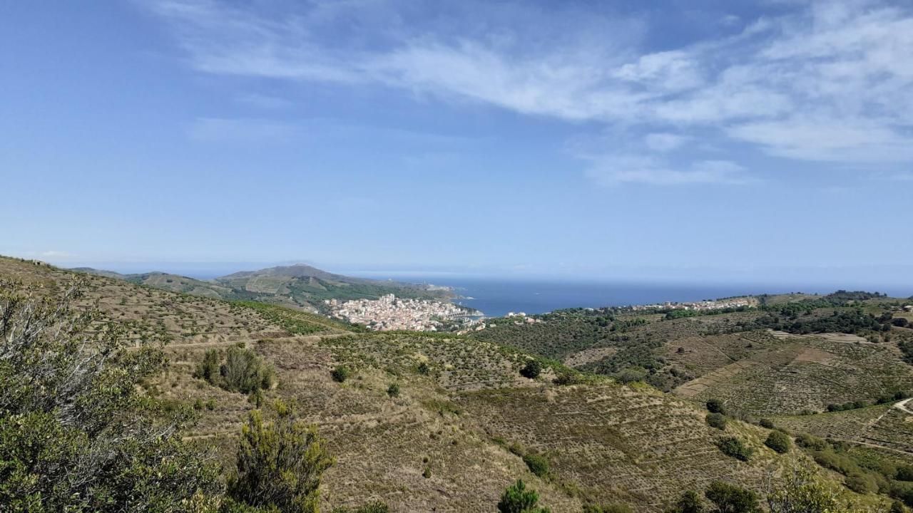 Cap D Osne - Banyuls Sur Mer - 2Mn Plage Dış mekan fotoğraf